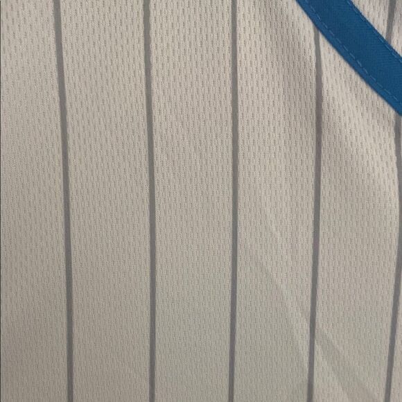 NWT- Budweiser Blue-Trimmed Striped baseball Jersey- Size large - Picture 6 of 10